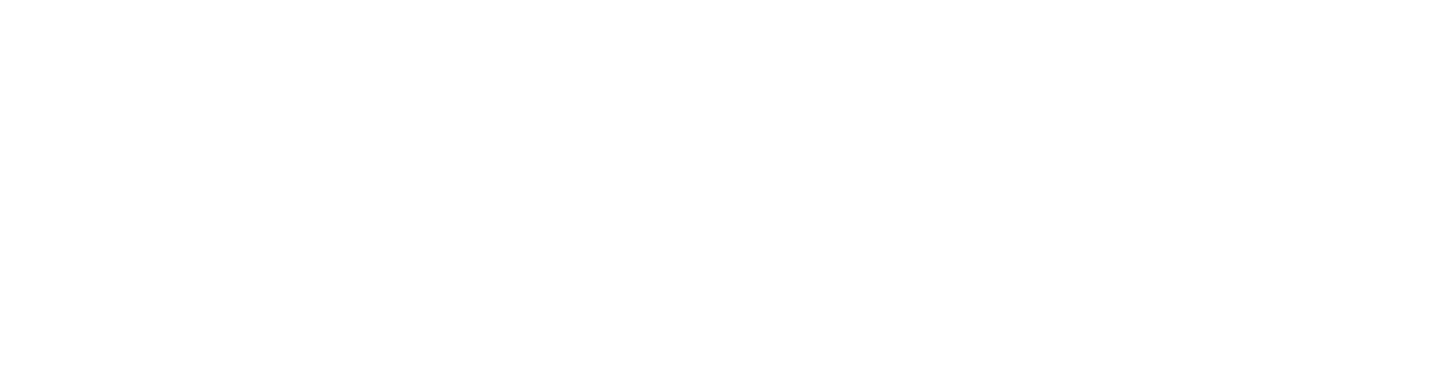 Winvin.gg Logo Weis 1