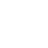 insipience e1760137428400